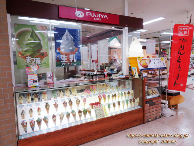 21.3.4 FUJIYA KOBE ゆめタウン平島店 (15)