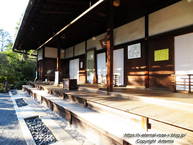 19.11.23.7 妙心寺 退蔵院  (38)