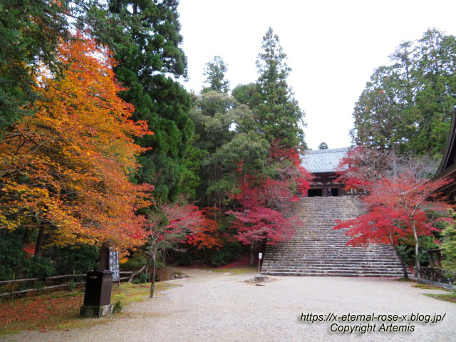 19.11.27 高雄 神護寺 (73)