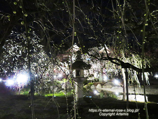 23.3.3. 北野天満宮 (56)