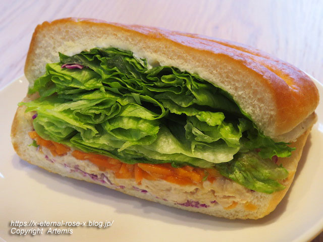 22.1.25 スターバックス岡山青江店 (20)