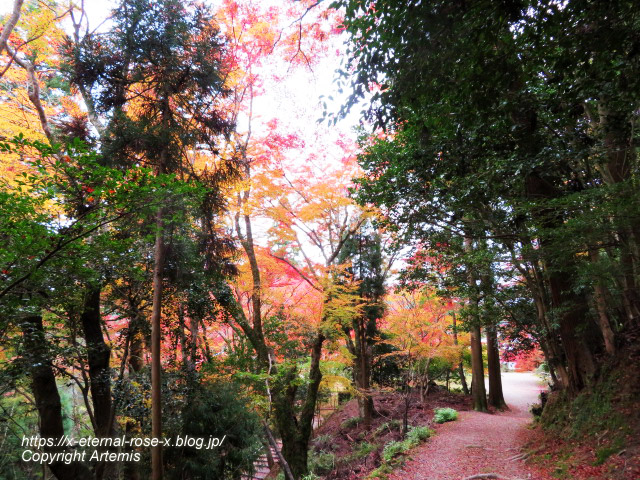 19.11.27 高雄 神護寺  (134)