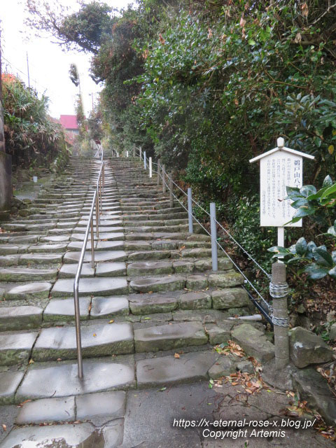 20.11.1.9 鵜戸神宮 (141)