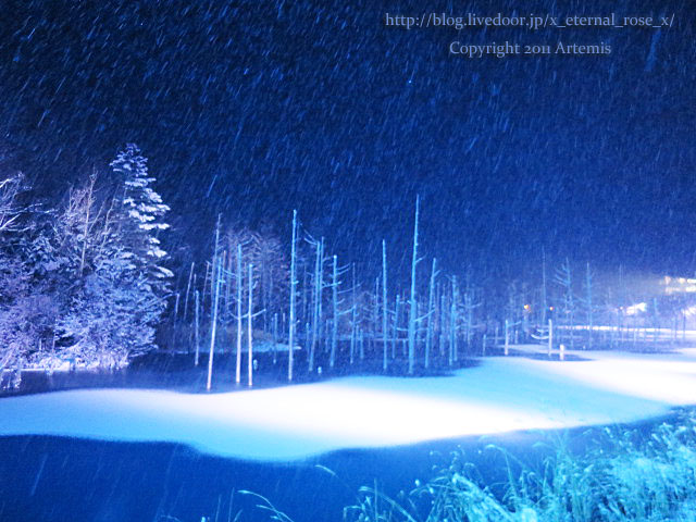 18.11.21.9 青い池  (60)