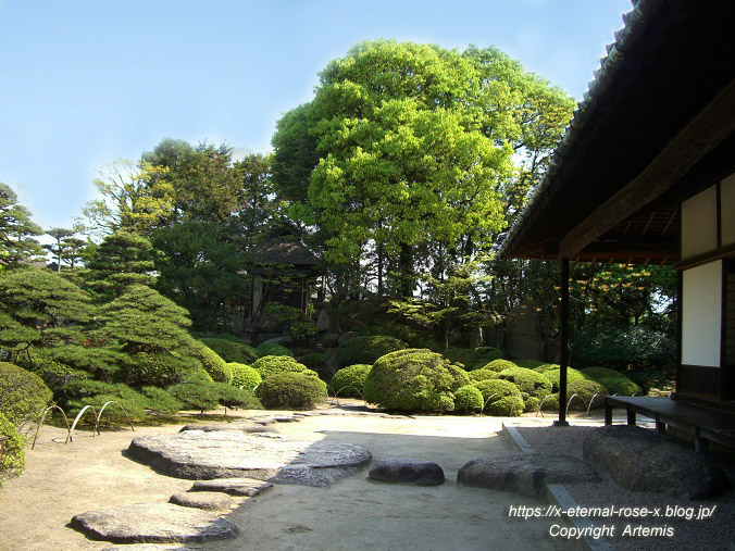 11.5.5.3 旧野﨑家住宅 野﨑家塩業歴史館 (8)