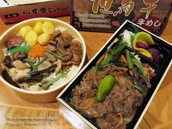20.10.31.20 おかやま駅弁 (11)