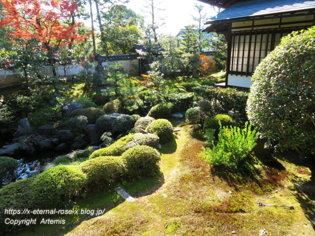 19.11.23.4 大雄院 (32)