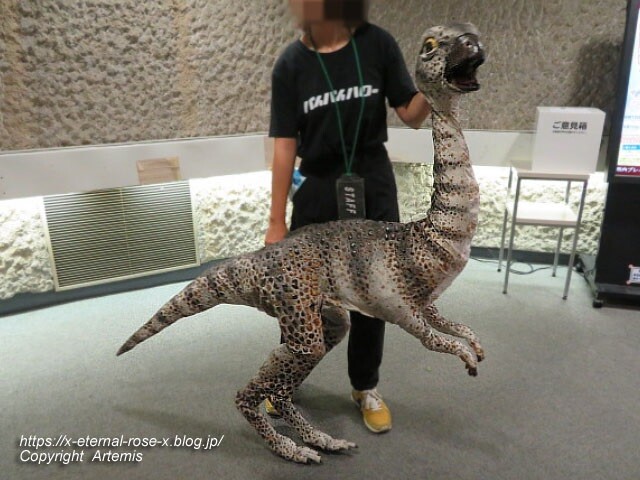 19.8.18.1 恐竜動物園 (152)