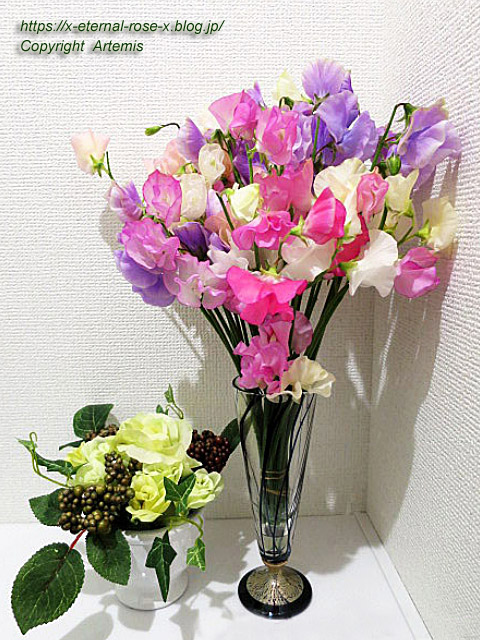 18.1.16ヤキガシミニョン (112)