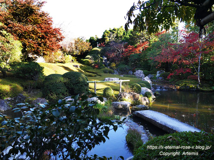 19.11.23.7 妙心寺 退蔵院  (121)