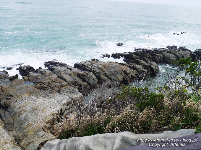 20.11.1.5 いるか岬  (23)