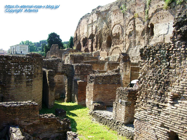 11.5.30.4 コロッセオ  (11)