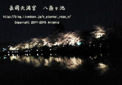 1 長岡天満宮 (8)