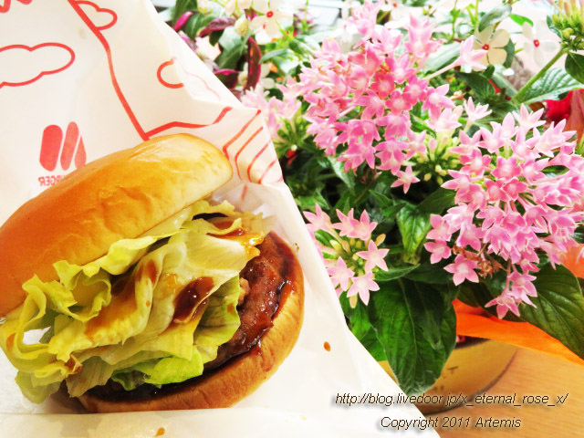 19.7.24 モスバーガー 岡山けやき通り店 (45)