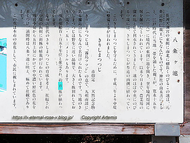 23.3.2 八条が池 (53)