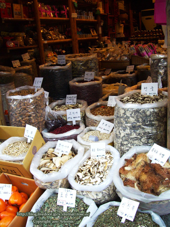 9.11.12.5 明洞  (9)