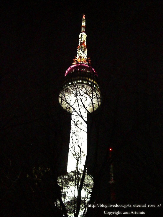 9.11.12.8 Nソウルタワー  (11)