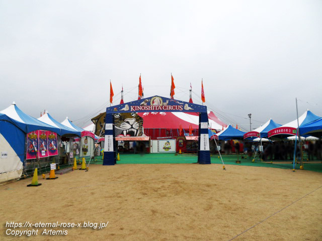 22.7.8 木下サーカス  (3)