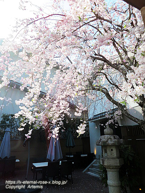 22.4.7 sonoka そばの実スイーツ  (31)