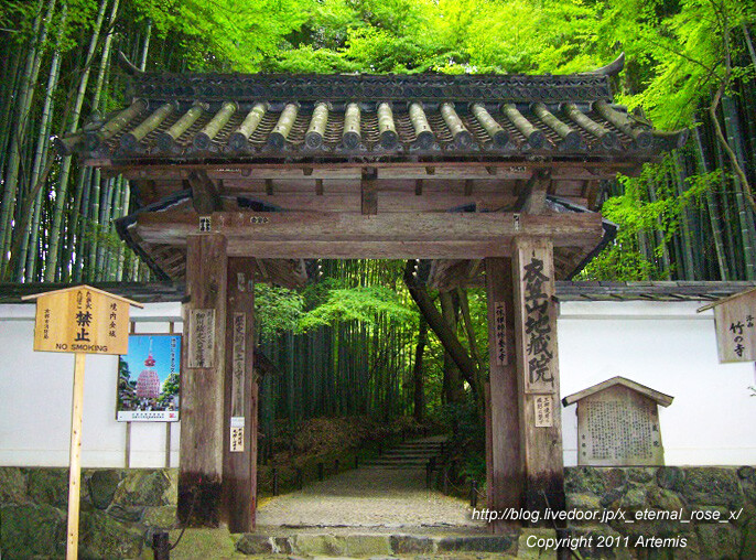 華厳寺こと鈴虫寺で説法 幸福地蔵 10 Eternal Rose エターナルローズ