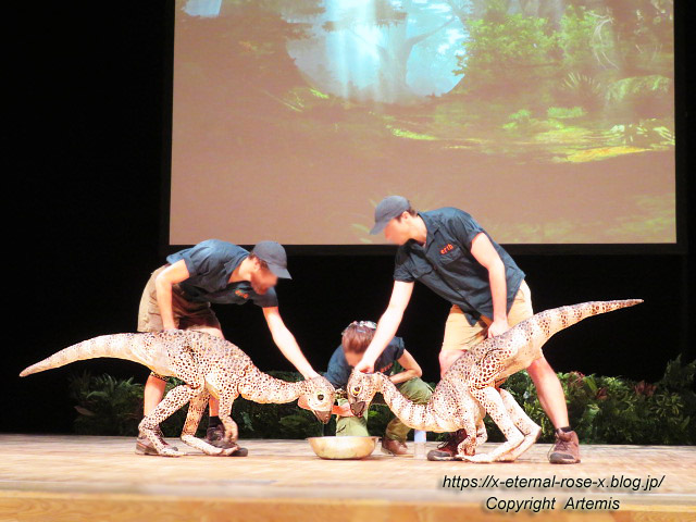 19.8.18.1 恐竜動物園 (38)