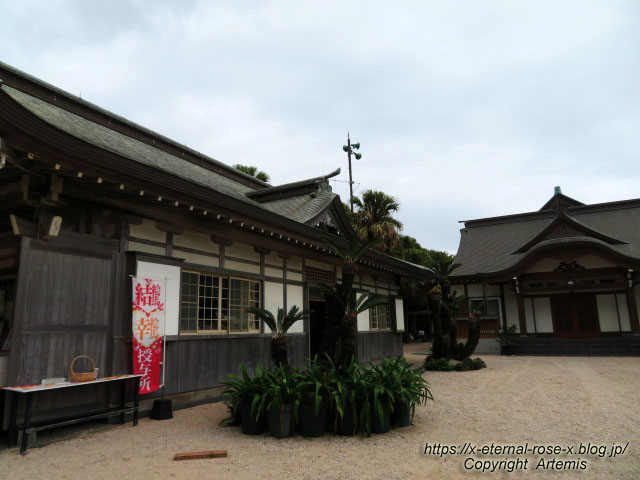 20.11.1.2 青島 (47)