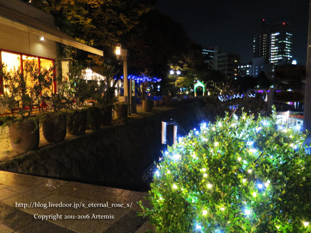 21 スズカフェ  (37)