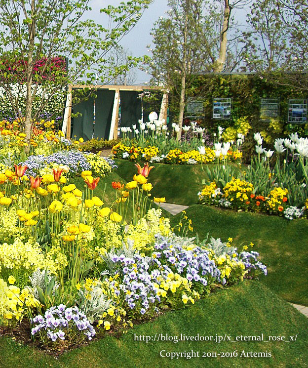 27 おかやま花だより  (72)