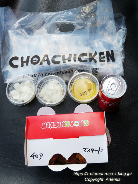 22.3.11.1 チョアチキン (10)