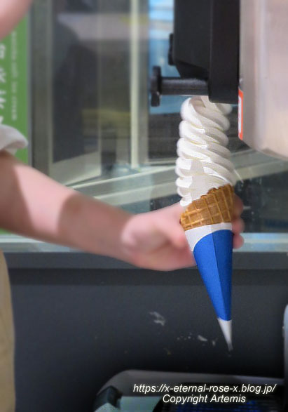 18.11.24.12 KINOTOYA 新千歳空港店  (14)