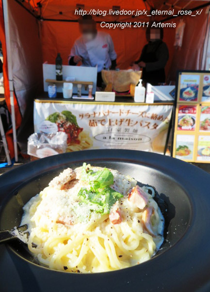 21.1.2.2 アラメゾン (10)