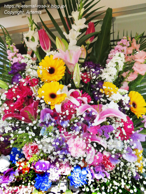 22.1.5 カフェッタ  (31)