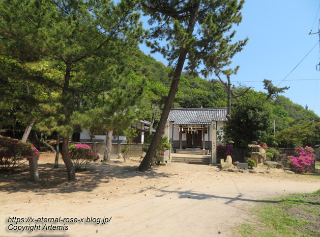 22.5.5.4 渋川八幡宮 (10)
