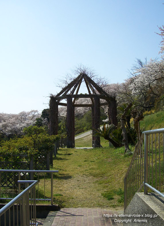 11.4.14.1 半田山植物園  (139)