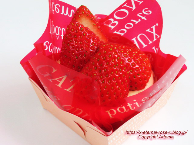 22.12.25 サフラン  (24)