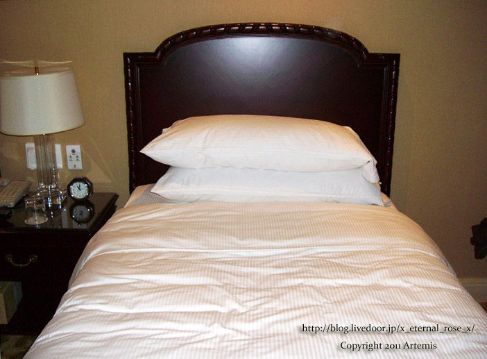 9.11.12.10 リッツカールトン  (10)