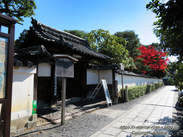 19.11.23.3 桂春院 (1)