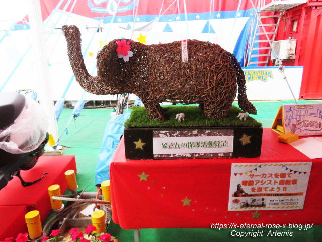 22.7.8 木下サーカス  (6)