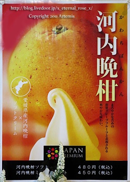 16.7.9  たまの湯ドリンクパーラー凪茶なぎさ  (20)