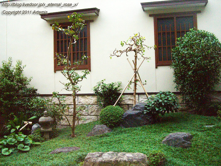 10.10.20.12 半兵衛麩 (9)