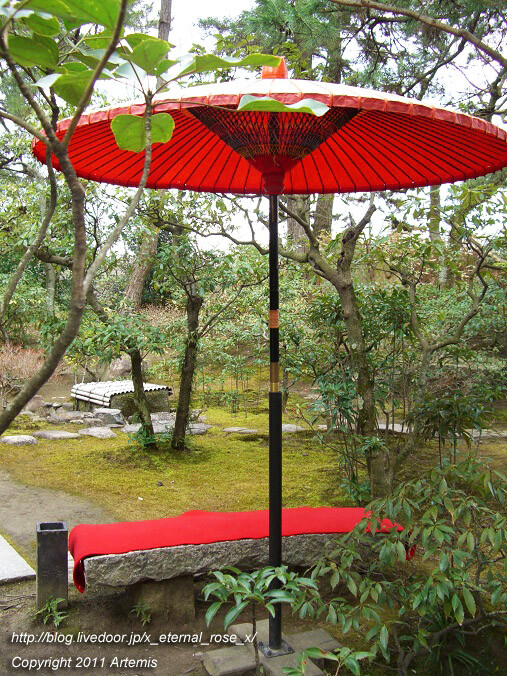 11.2.20 栗林公園 (14)