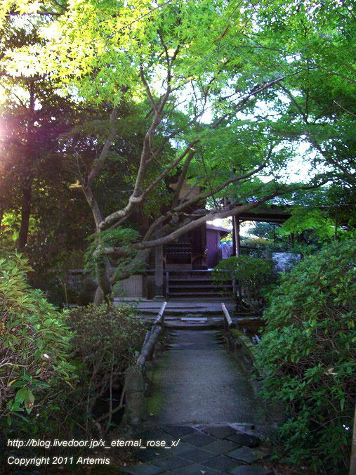 10.10.17.5 新薬師寺 (11)