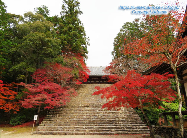 19.11.27 高雄 神護寺  (227)