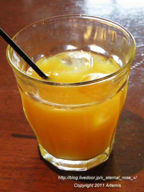 21.2.12.1 カルロッタ (41)