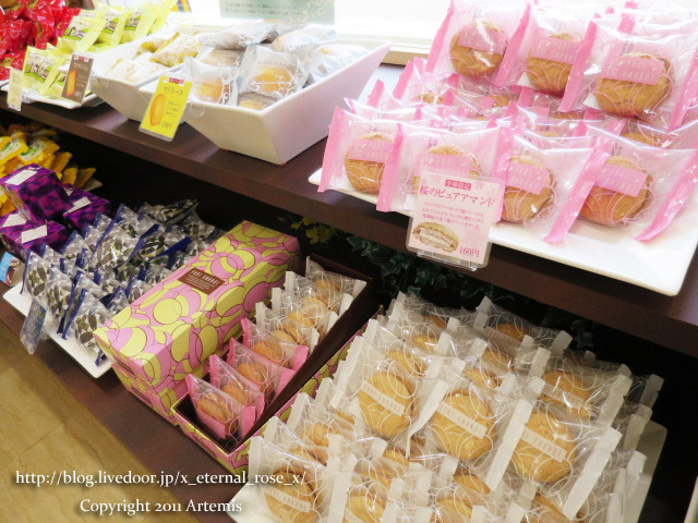 18.4.8 白十字円山 (18)