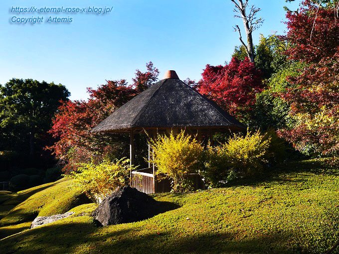 19.11.23.7 妙心寺 退蔵院  (119)