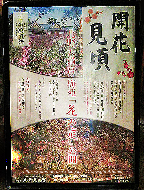 23.3.3.1 老松 北野天満宮 梅苑茶店  (32)