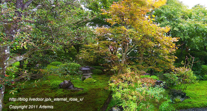 10.10.24.4 鈴虫寺  (9)