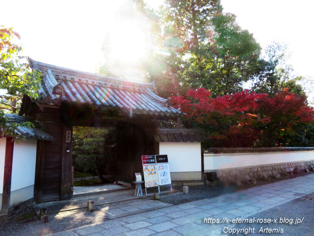 19.11.23.4 大雄院 (61)