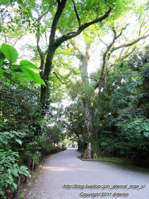 20.10.31.8 城山公園展望台  (21)